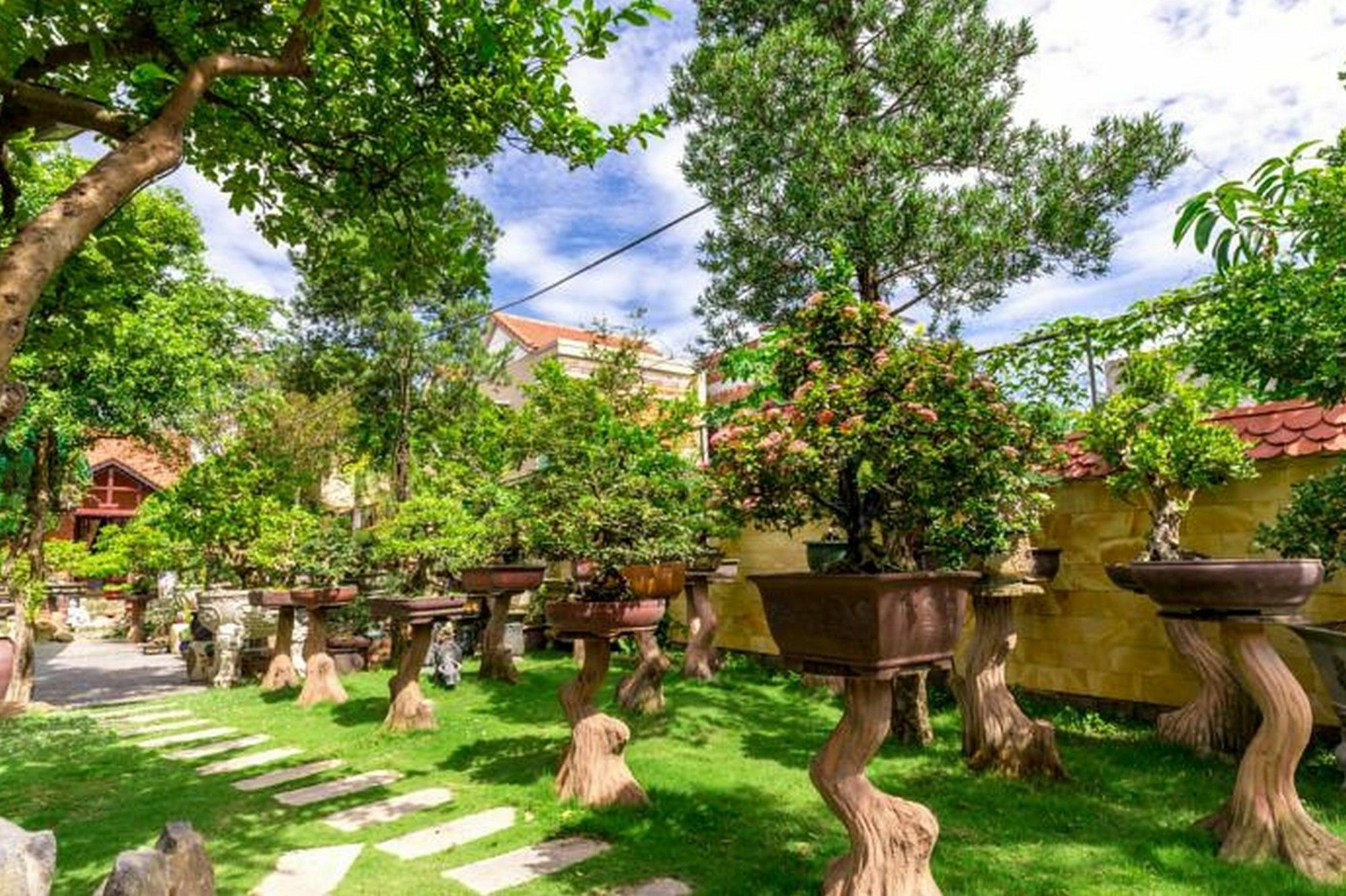 บอนไซ วิลลา ฮอยอัน Hotel ภายนอก รูปภาพ